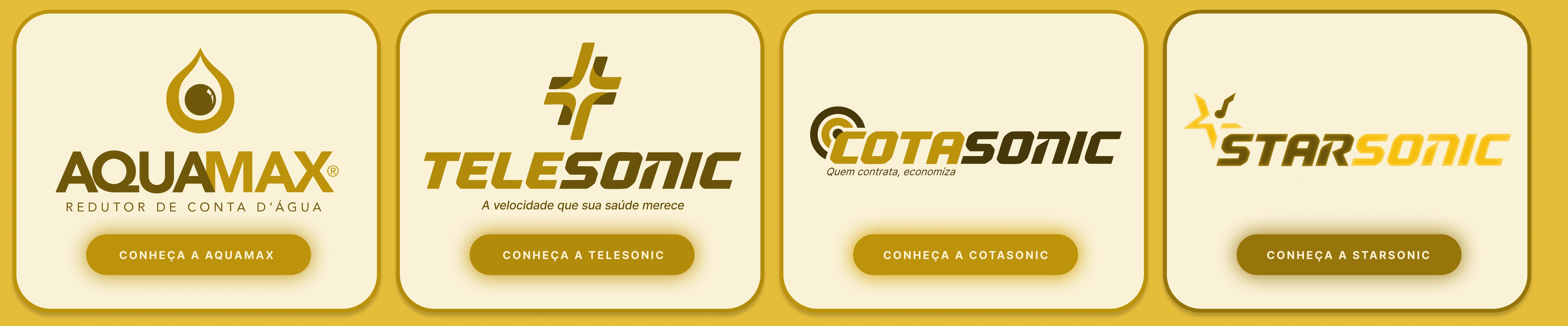 Líder de empresas de sucesso: Aquamax, Telesonic, Cotasonic, Starsonic